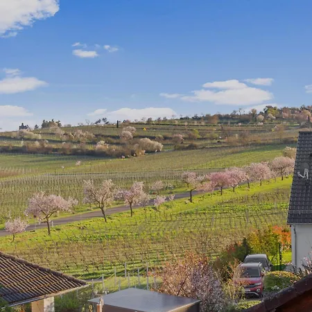 Upper Room: Mit Exklusiver Ausstattung-ausblick Auf Weinberge&mandelbluetenpfad شقة *